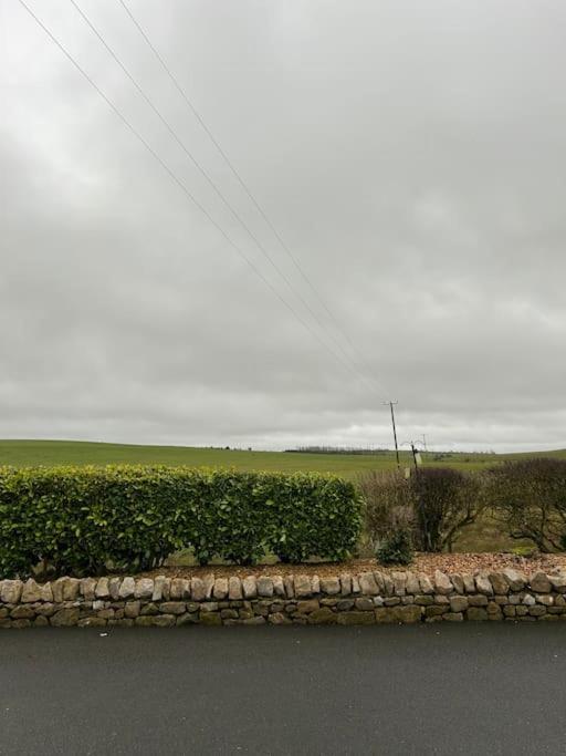 Daffodil Lodge Cockermouth Zewnętrze zdjęcie